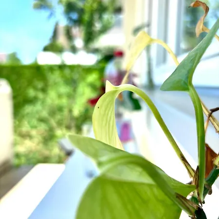 Helle Und Grosse Mit Balkon In *